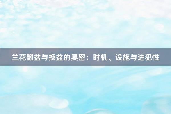 兰花翻盆与换盆的奥密：时机、设施与进犯性