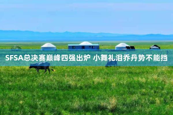 SFSA总决赛巅峰四强出炉 小舞礼泪乔丹势不能挡