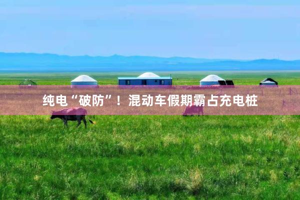 纯电“破防”！混动车假期霸占充电桩