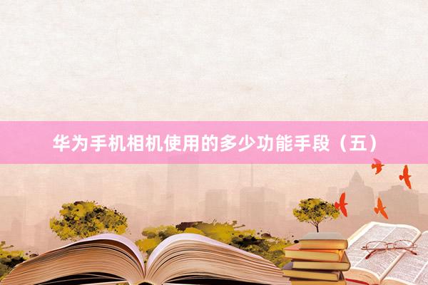 华为手机相机使用的多少功能手段(五)