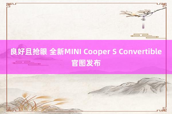良好且抢眼 全新MINI Cooper S Convertible官图发布