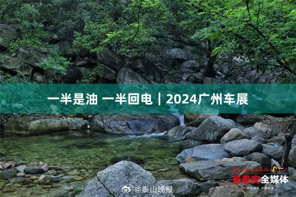 一半是油 一半回电｜2024广州车展