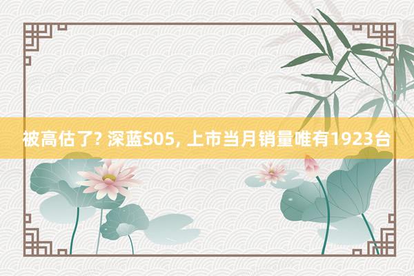 被高估了? 深蓝S05, 上市当月销量唯有1923台