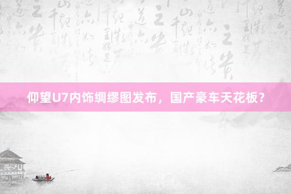 仰望U7内饰绸缪图发布，国产豪车天花板？