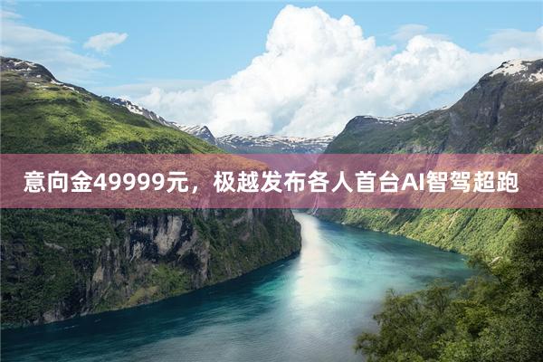 意向金49999元，极越发布各人首台AI智驾超跑