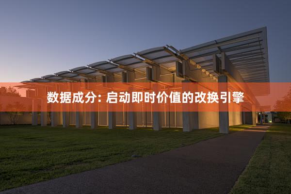 数据成分: 启动即时价值的改换引擎