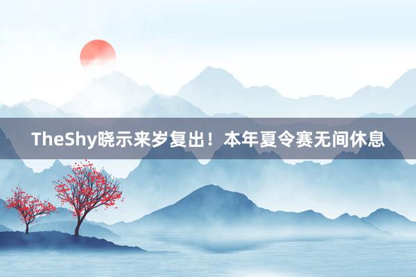 TheShy晓示来岁复出！本年夏令赛无间休息
