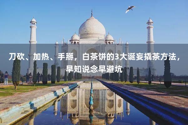 刀砍、加热、手掰，白茶饼的3大诞妄撬茶方法，早知说念早避坑