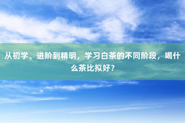 从初学、进阶到精明，学习白茶的不同阶段，喝什么茶比拟好？