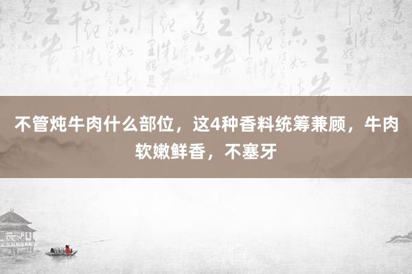 不管炖牛肉什么部位，这4种香料统筹兼顾，牛肉软嫩鲜香，不塞牙