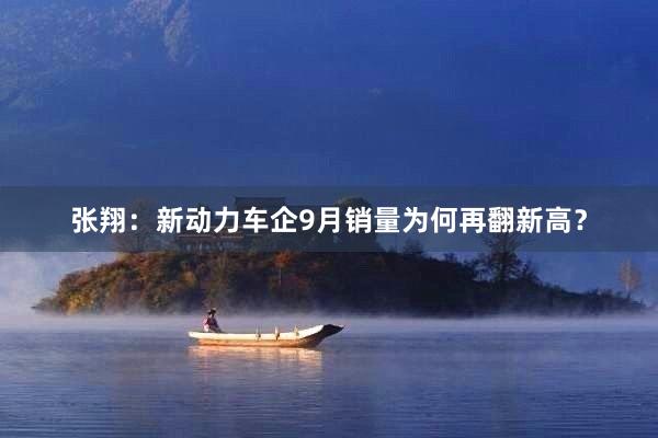张翔：新动力车企9月销量为何再翻新高？