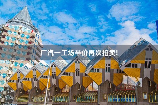 广汽一工场半价再次拍卖!